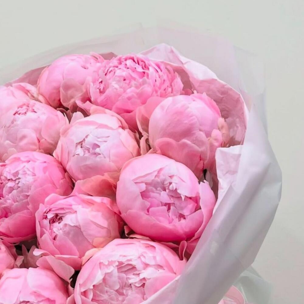 Букет из 17 нежно-розовых пионов