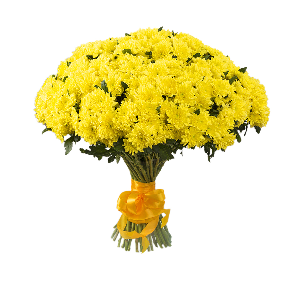 Букет из 51 желтой хризантемы