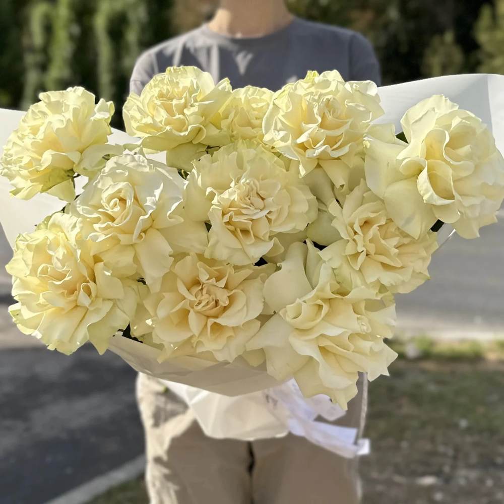 Французская белая роза 11 шт.