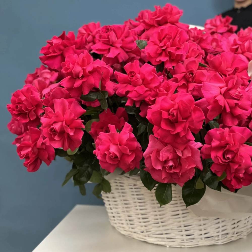 Французская малиновая роза в корзине 151 шт.