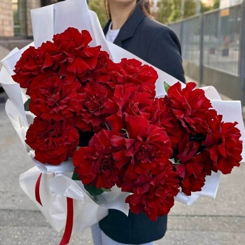 Французская красная роза 15 шт.