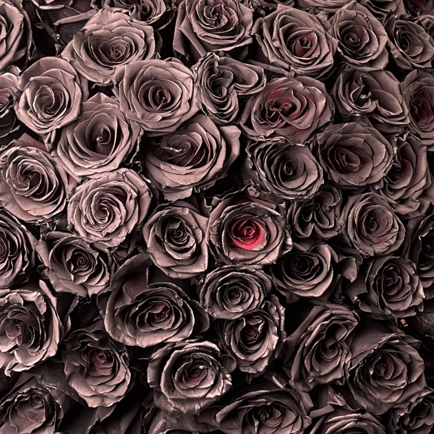 Букет из 101 черной розы