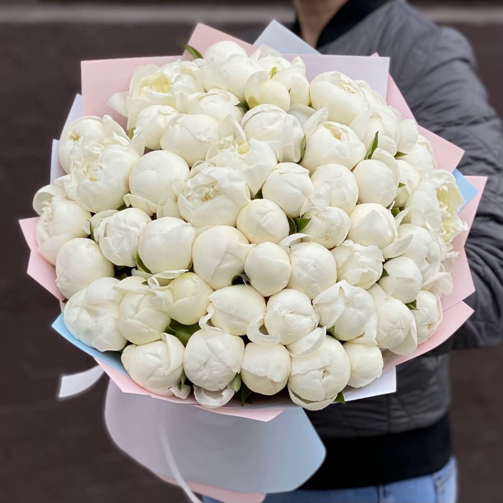 Букет из 51 белого пиона