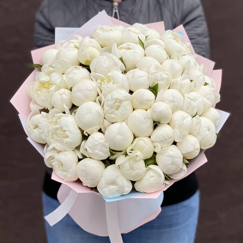 Букет из 51 белого пиона