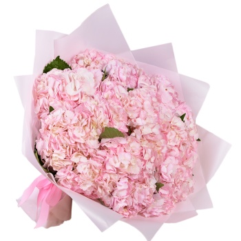 15 розовых гортензий