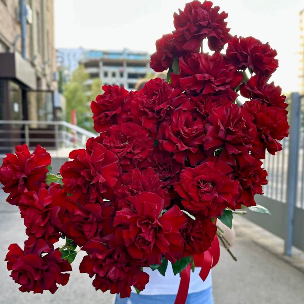 Французская красная роза 25 шт.