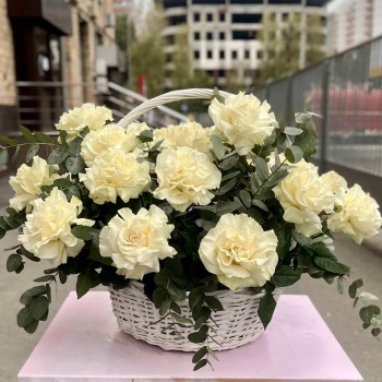 Французская белая роза в корзине 25 шт.