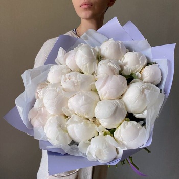 Букет из 21 белого пиона