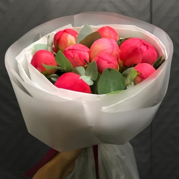 Коралловый