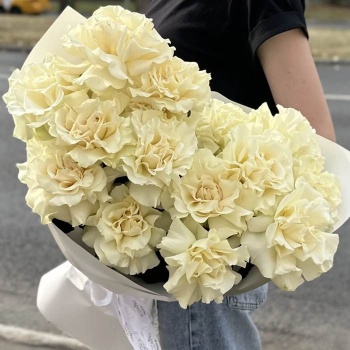 Французская белая роза 15 шт.