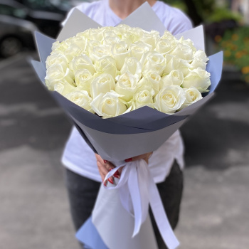 51 белая роза premium 50 см