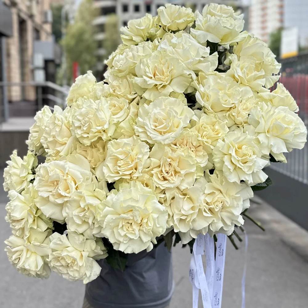Французская белая роза 51 шт.
