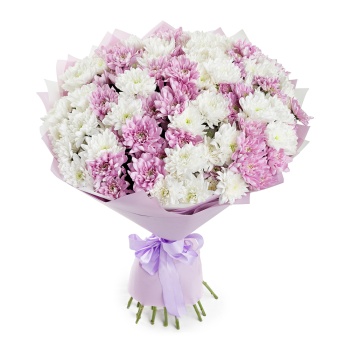 Букет из 25 разноцветных хризантем