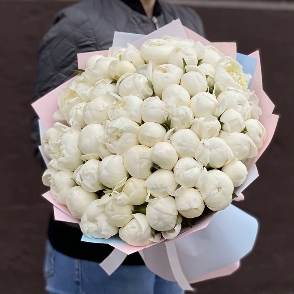 Букет из 51 белого пиона