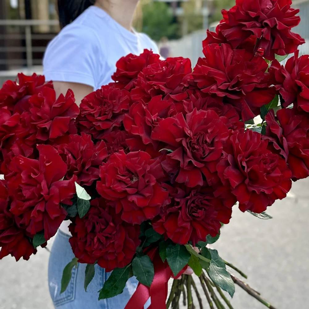 Французская красная роза 25 шт.