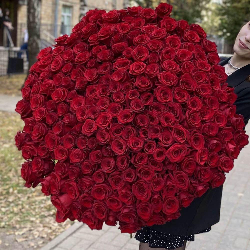 201 красная роза Premium Эквадор 100 см.