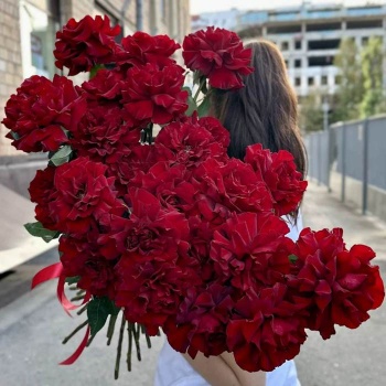 Французская красная роза 25 шт.