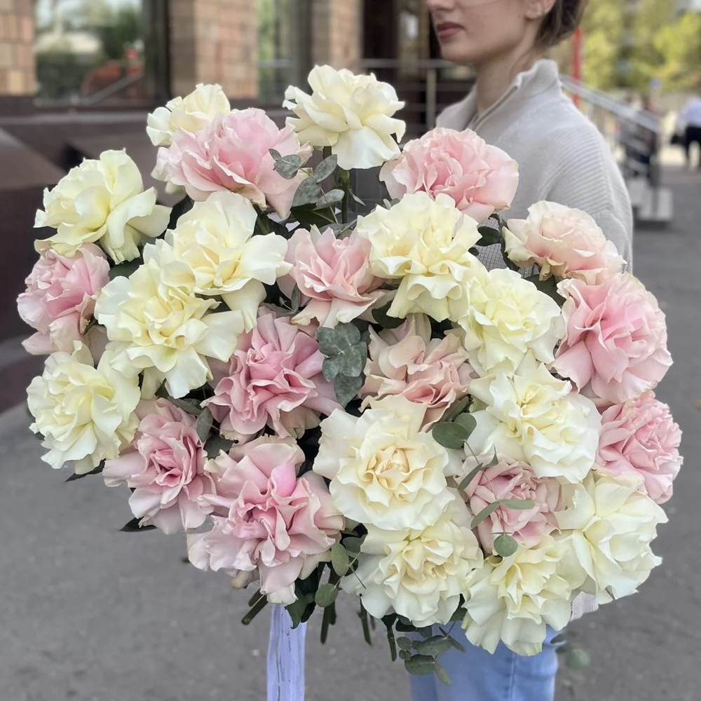 Французская розовая и белая роза 25 шт.