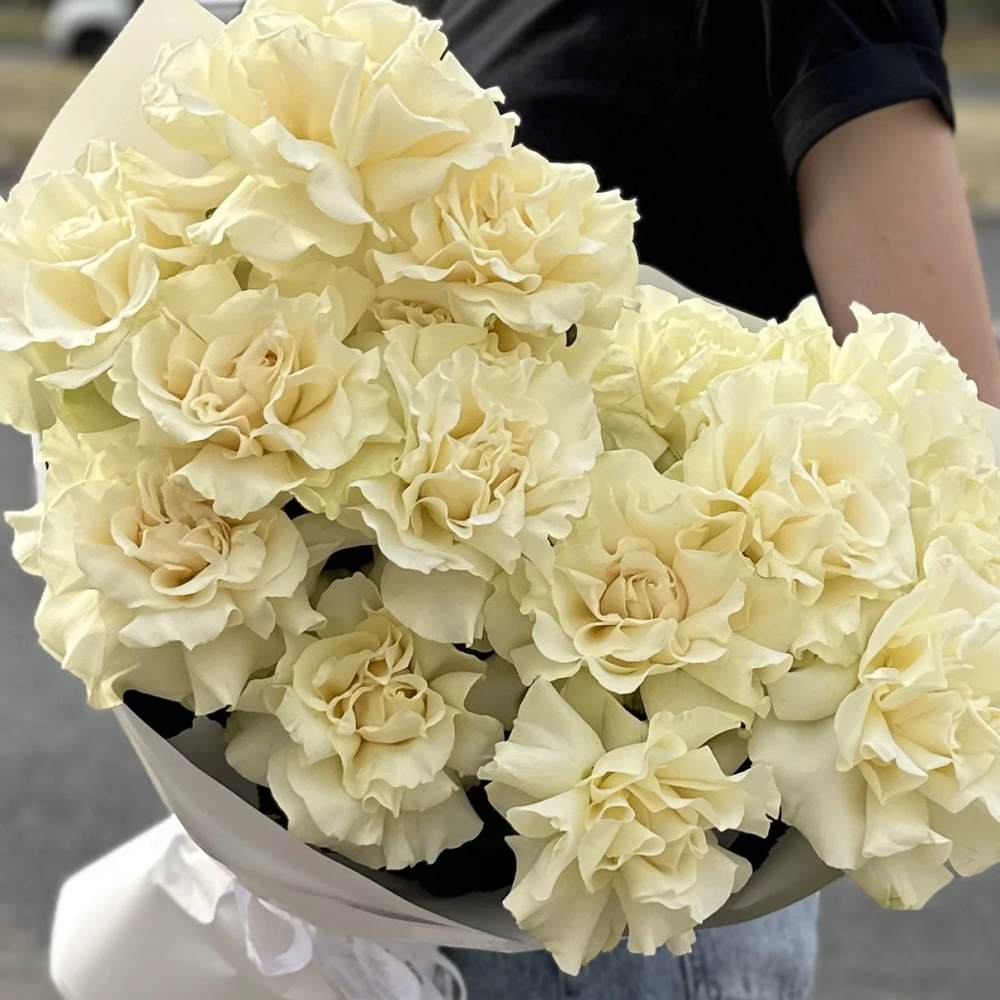 Французская белая роза 15 шт.