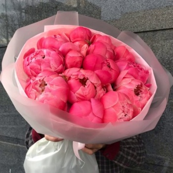 Коралловый