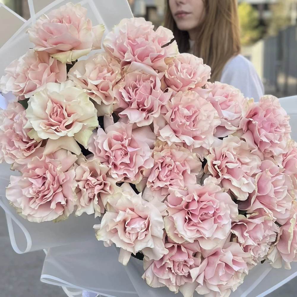 Французская розовая роза 25 шт.