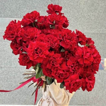 Французская красная роза 51 шт.