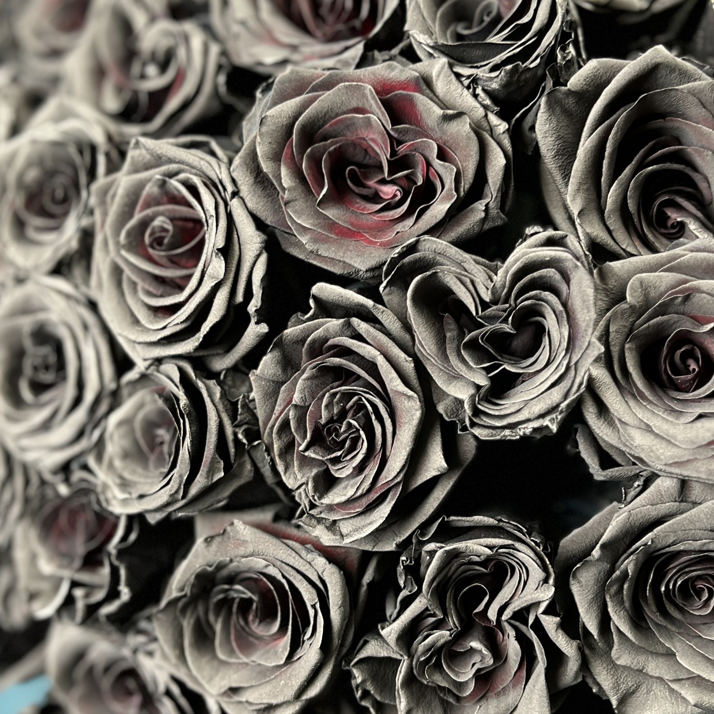 Букет из 51 черной розы