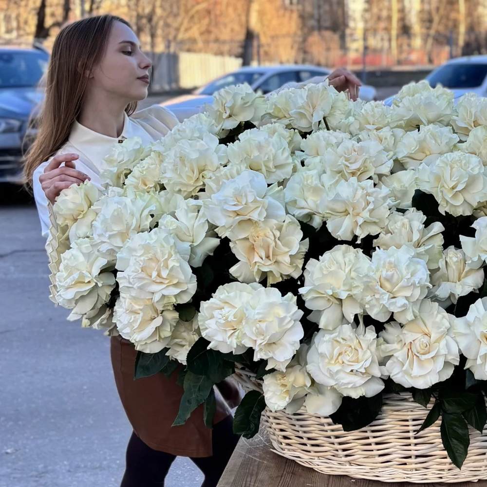 Французская белая роза в корзине 151 шт.