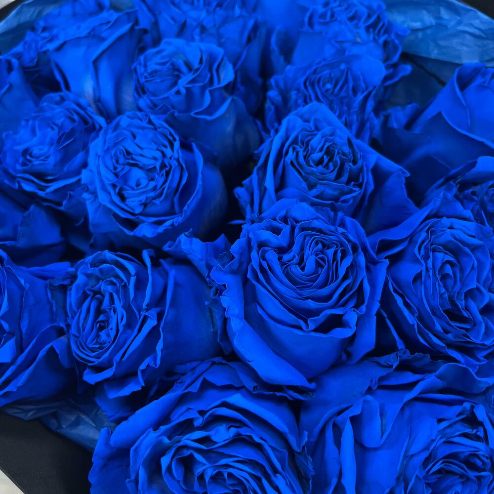 Букет из 25 синих роз Эквадор