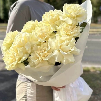 Французская белая роза 11 шт.