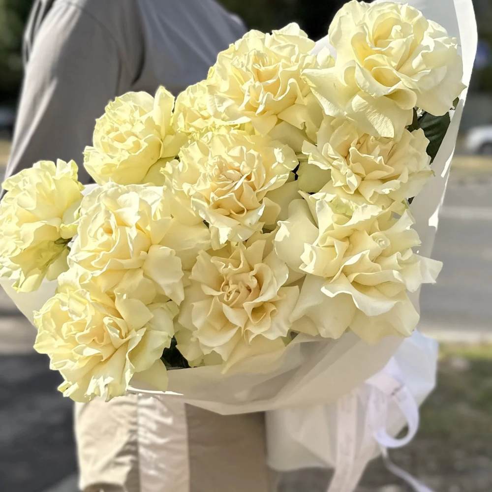 Французская белая роза 11 шт.