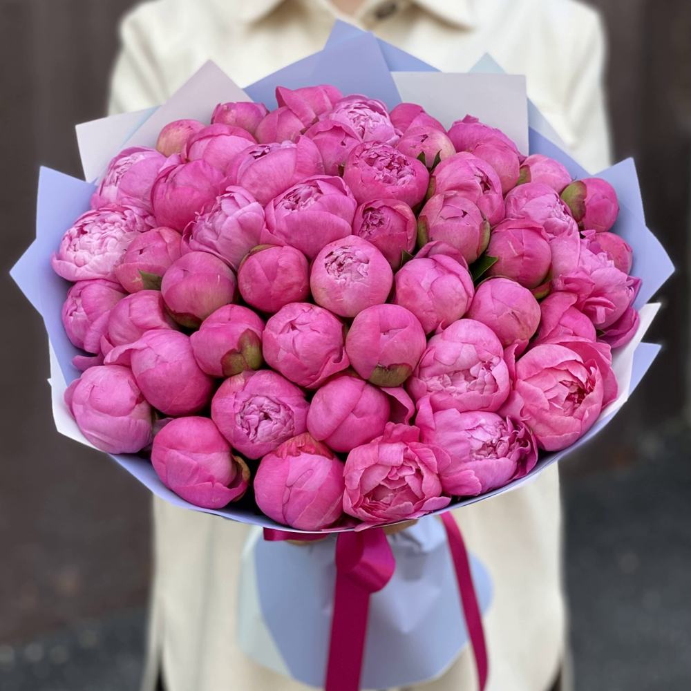 Букет из 51 розового пиона