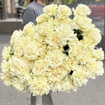 Французская белая роза 51 шт.