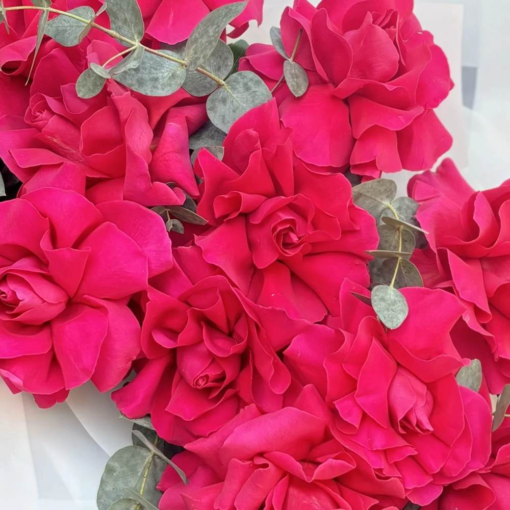 Французская малиновая роза 11 шт.