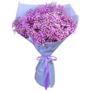 19 фиолетовых гипсофил