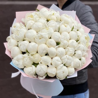 Букет из 51 белого пиона