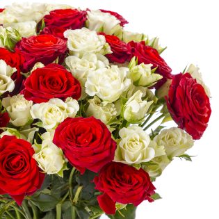 25 красно-белых кустовых роз