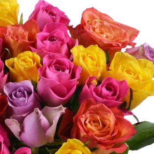 25 разноцветных роз