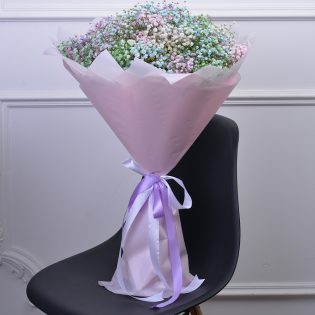 19 разноцветных гипсофил
