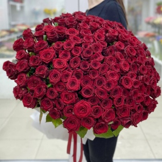 151 красная роза Premium 70 см.